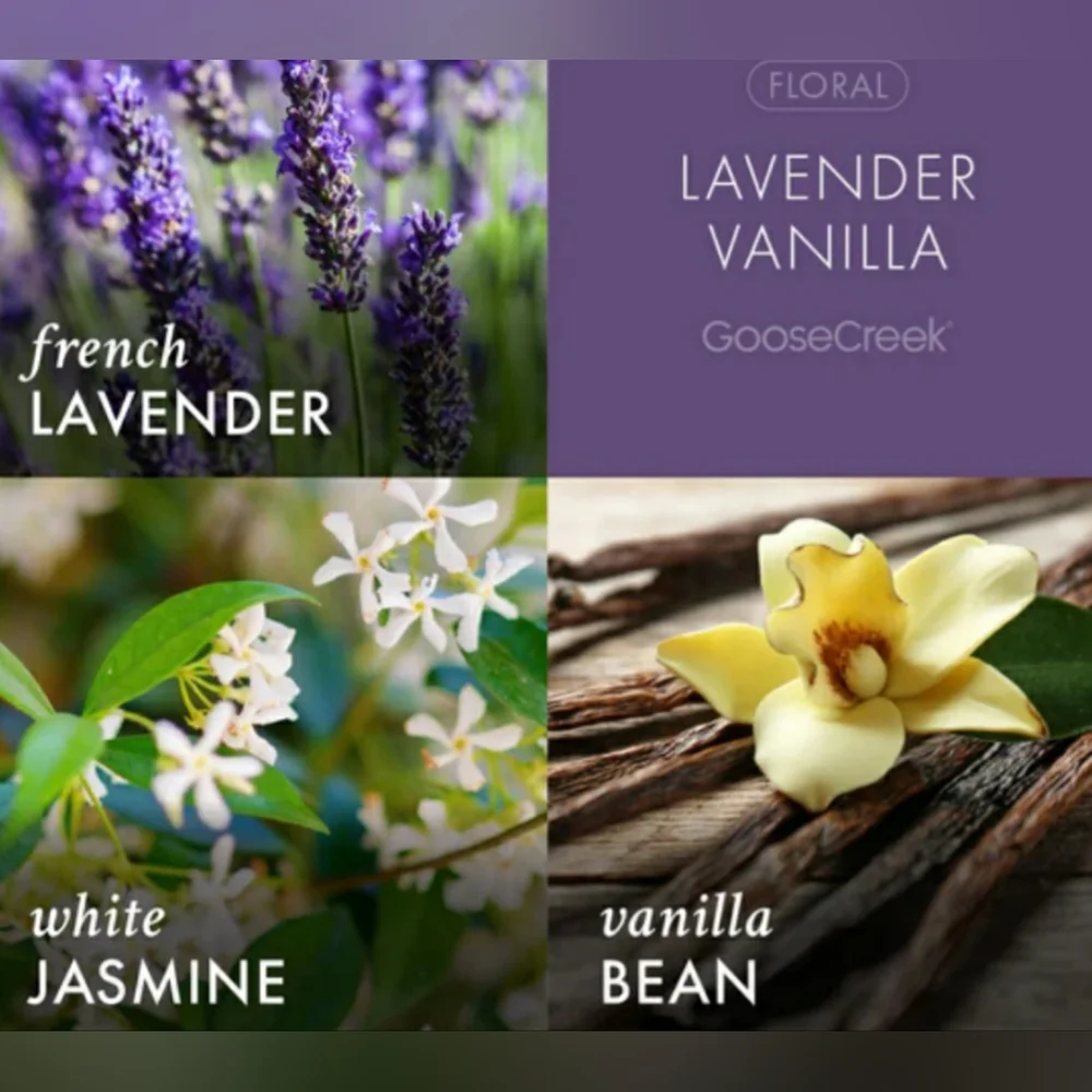 Goose Creek LAVENDER VANILLA Large 3-Wick Scented Candle, 14.5 oz